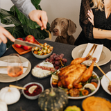 Paw Approved Ideas To Make Thanksgiving Special Fur Everyone