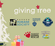 Giving Tree Event