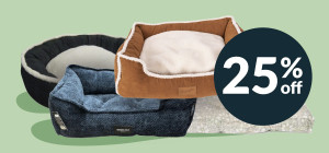 More Comfort, More Savings