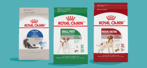 Up to $15 off Royal Canin Pet Food