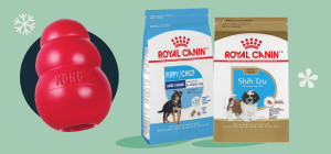 Holiday Cheer: Dog Toy with Royal Canin 