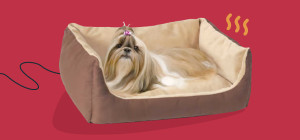 Warm Pets, Happy Tails