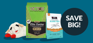 Dog Deals You Won't Want to Miss