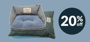 Sweet Dreams, Better Savings