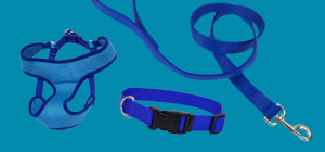 Buy One Coastal Collar, Harness, or Leash and Get One 50% Off