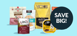 Dog Deals You Won't Want to Miss