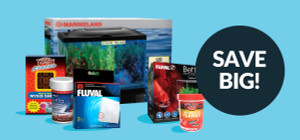 Fin-tastic Finds, Limited Time