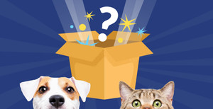 New Products Your Pet Will Love