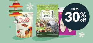 Flock to The Savings