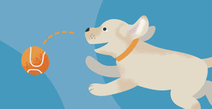 Puppyhood Starts Here