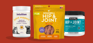 Cold Weather Care for Active, Aging Pets