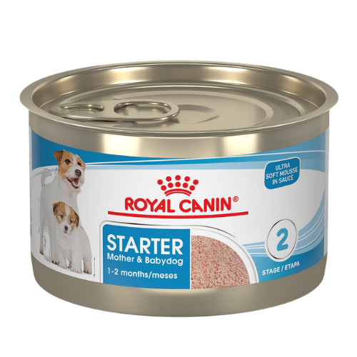 Royal Canin Starter Mousse Mother & Puppies Canned Dog Food