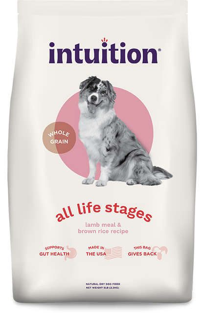 Intuition All Life Stages Lamb Meal & Brown Rice Recipe Dry Dog Food