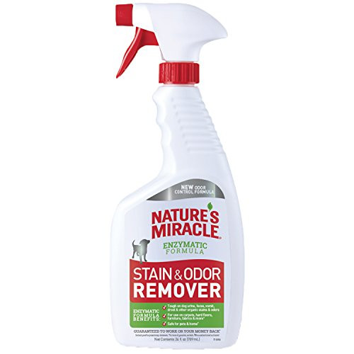 Nature's Miracle Stain & Odor Remover For Dogs