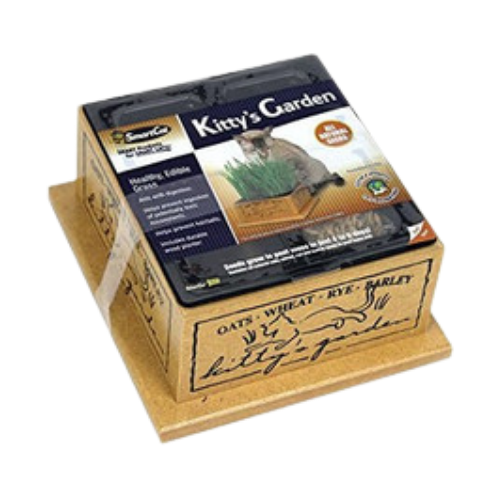 Pioneer Pet Smartcat Kitty's Garden Oats Wheat Rye Barley Box 
