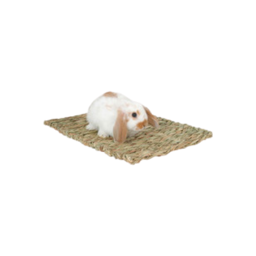 Marshall Peter's Woven Grass Mat For Small Animals M