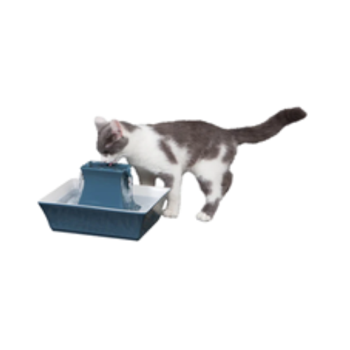 PetSafe Drinkwell Porcelain Stoneware Pagoda Pet Fountain .5 gal