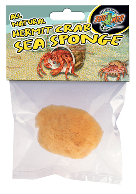 Zoo Med Hermit Crab Sea Sponges, Bulk - Chow Hound Pet Supplies