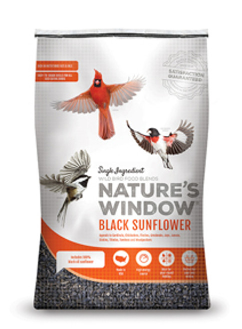 Nature's Window Black Oiler Sunflower Seeds