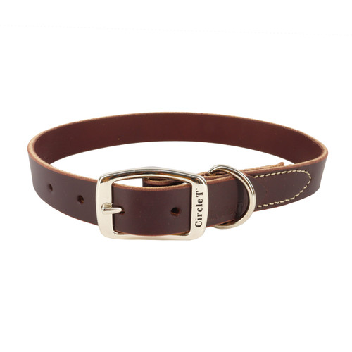 Coastal Pet Products Circle T Latigo Leather Town Dog Collar