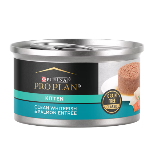 Purina Pro Plan Development Ocean Whitefish & Salmon Entrée Classic Grain-Free Wet Cat Food for Kittens