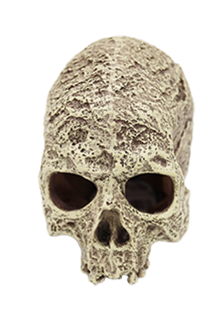 Incredipet Textured Human Skull Reptile Terrarium Ornament 