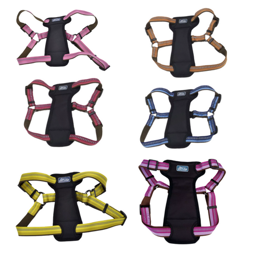 Coastal Pet Products K9 Explorer Reflective Adjustable Padded Dog Harness