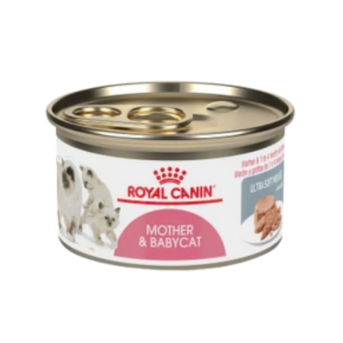 Royal Canin Mother & Babycat Ultra Soft Mousse in Sauce Canned Cat Food 12 ct