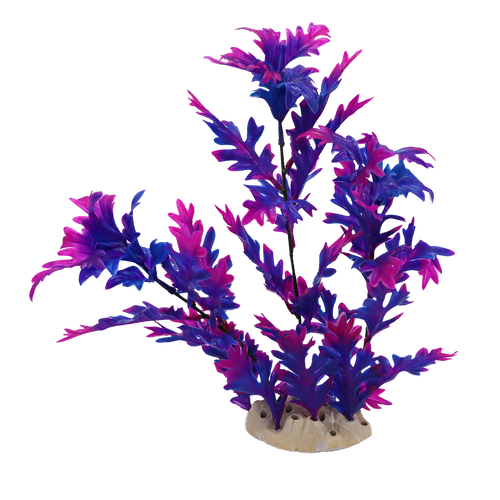 Incredipet Plastic Hygrophilia Aquarium Plant, Purple 12 in