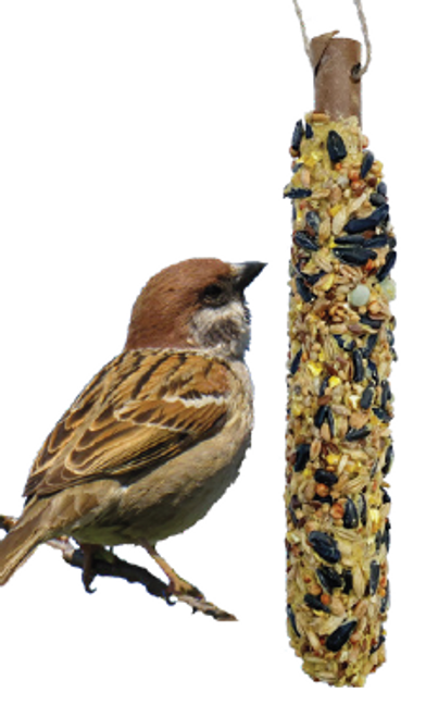 A&E Backyard Bird's Select Seed Stick 1.94 oz