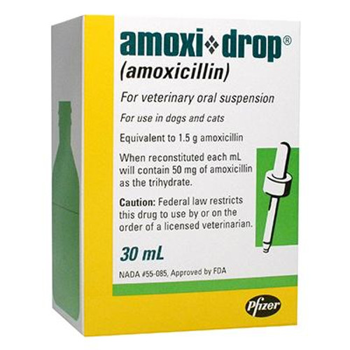 Amoxi-Drop 50 mg/ml Oral Suspension