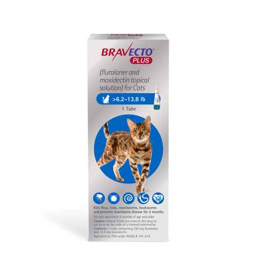 Bravecto PLUS Topical for Cats (8 Weeks)