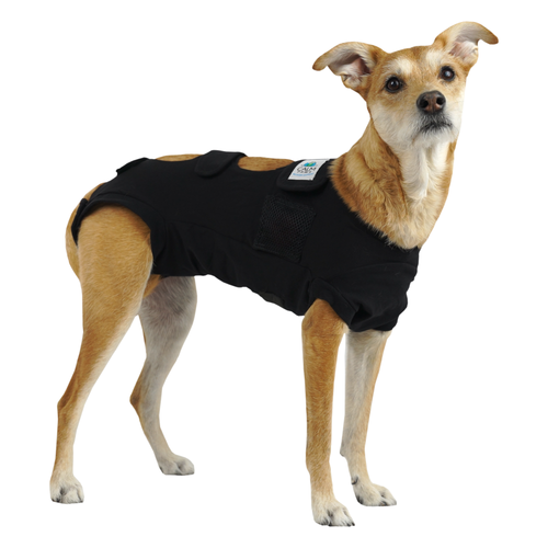 Calm Paws Calming Recovery Dog Vest