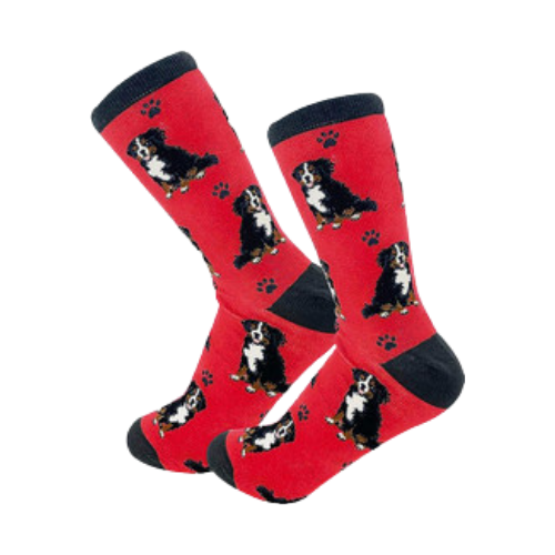 E & S Imports Pet Lover Socks Bernese Mountain Dog, Unisex, One Size Fits Most 