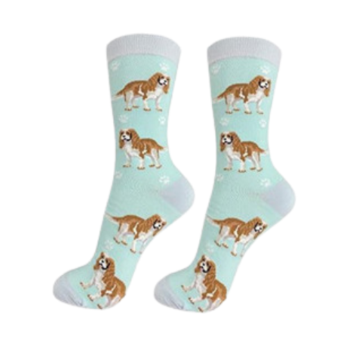 E & S Imports Pet Lover Socks Cavalier King Charles Spaniel Dog, Unisex, One Size Fits Most 