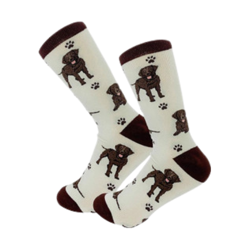 E & S Imports Pet Lover Socks Chocolate Labrador Dog, Unisex, One Size Fits Most 