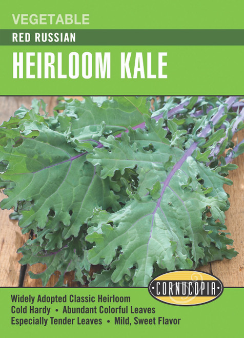 Renee's Garden Red Russian Heirloom Kale Seeds 