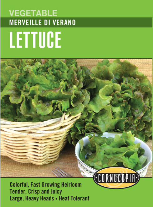 Renee's Garden Merveille Di Verano Lettuce Seeds 