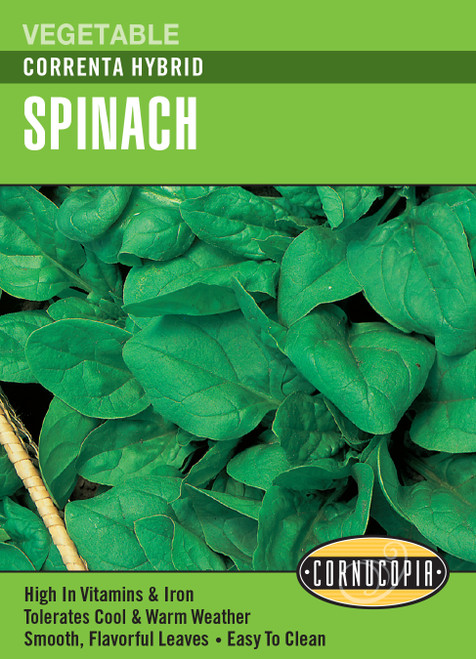 Renee's Garden Correnta Hybrid Spinach Seeds 