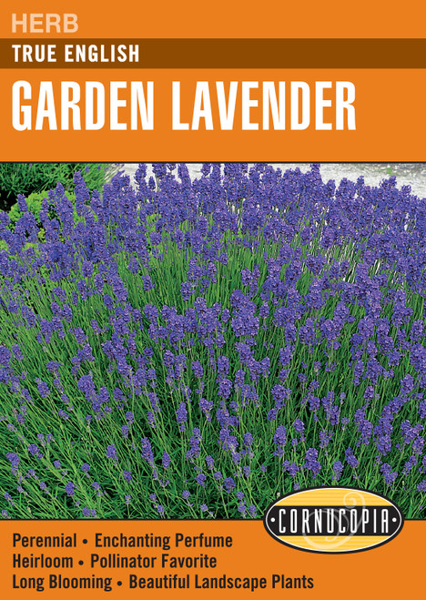 Renee's Garden True English Garden Lavender Seeds 