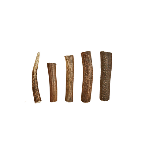 Canophera Red Deer Whole Antlers Natural Dog Chew