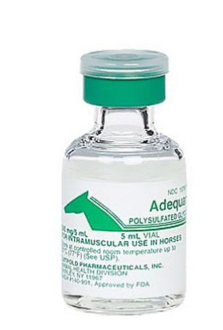 Adequan I.M. EQUINE Injectable 100 mg/ml