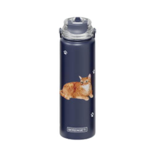E & S Imports Serengeti Orange Tabby Water Bottle 