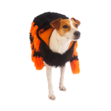 Silverpaw Halloween Spider Pet Costume