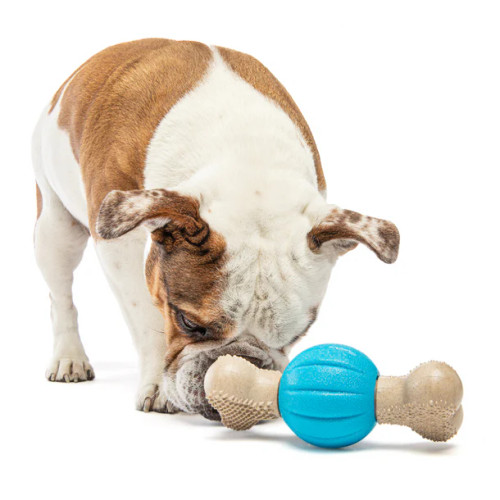 Guru Spin & Chew Bone Treat Dispensing Dog Toy Chow Hound Pet Supplies