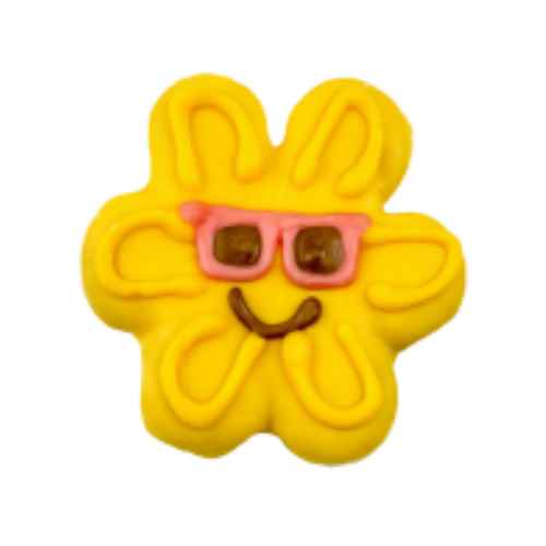 Bosco & Roxy Summer Pool Party Free Sunburns Dog Treat Cookie 