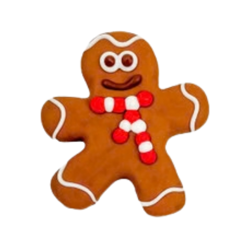 Bosco & Roxy Holiday Gingerbread Man Dog Cookie Treat 