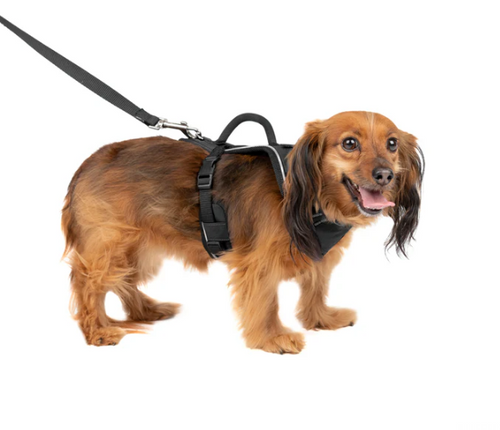PetSafe EasySport Harness