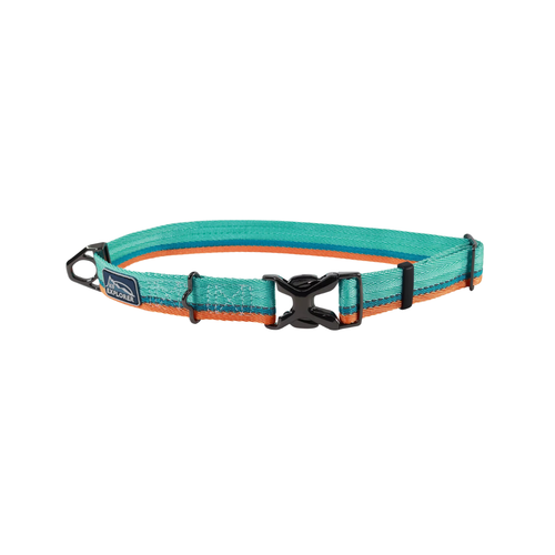 Coastal Pet Products K9 Explorer Trek Adjustable Dog Collar- Everglades