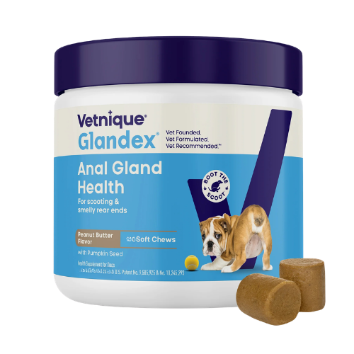 Glandex Dog Anal Gland Support Soft Chews with Pumpkin, Digestive Enzymes, Probiotics & Fiber Supplement Boot The Scoot Peanut Butter Flavored